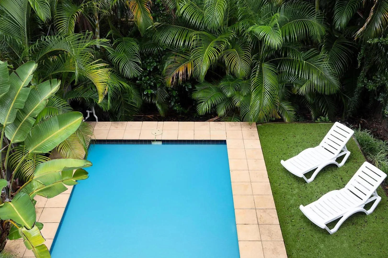 Large Family Pool Home In Taringa 6Km To Cbd Pets Brisbane