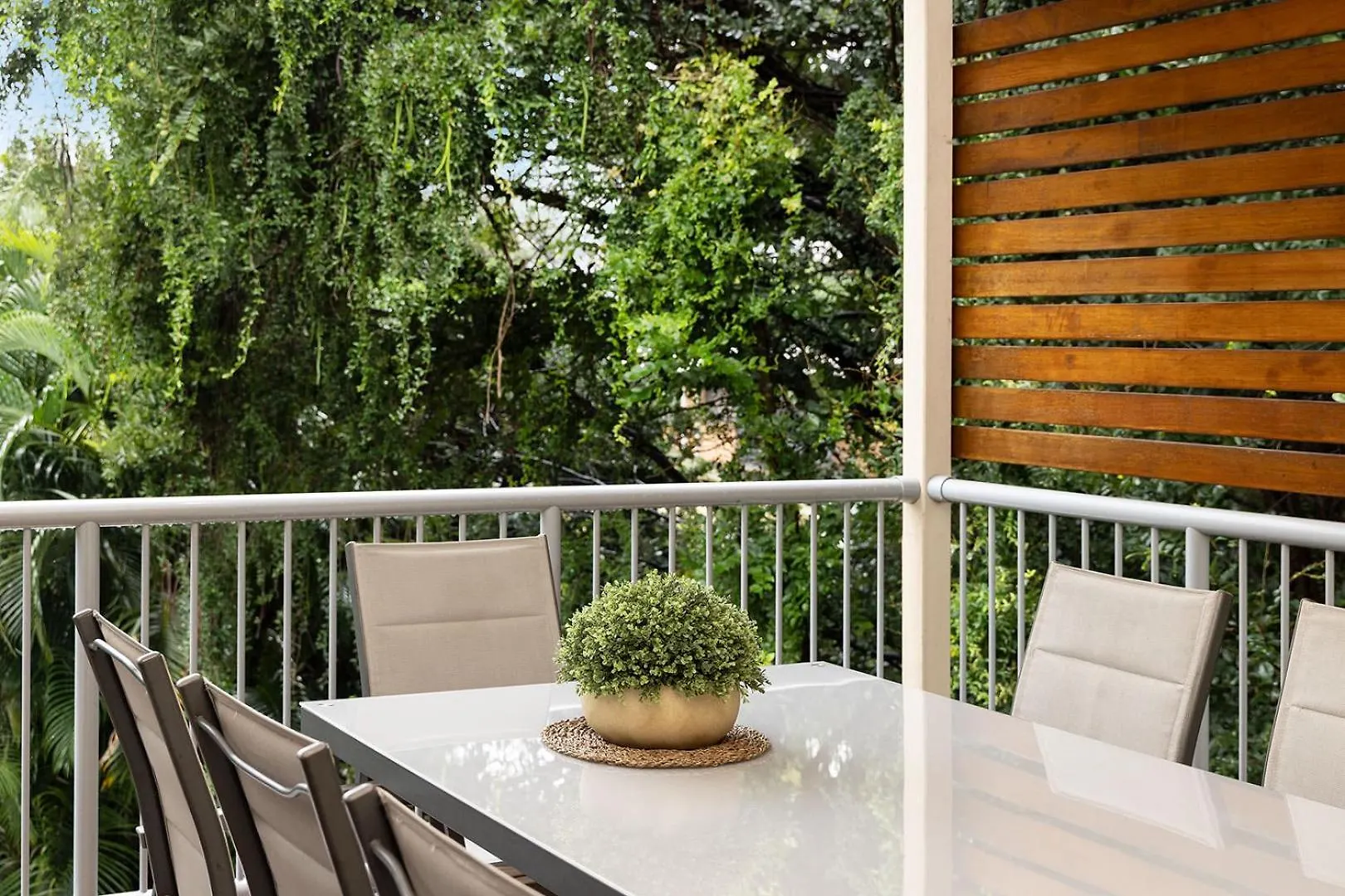 Large Family Pool Home In Taringa 6Km To Cbd Pets Brisbane Australia